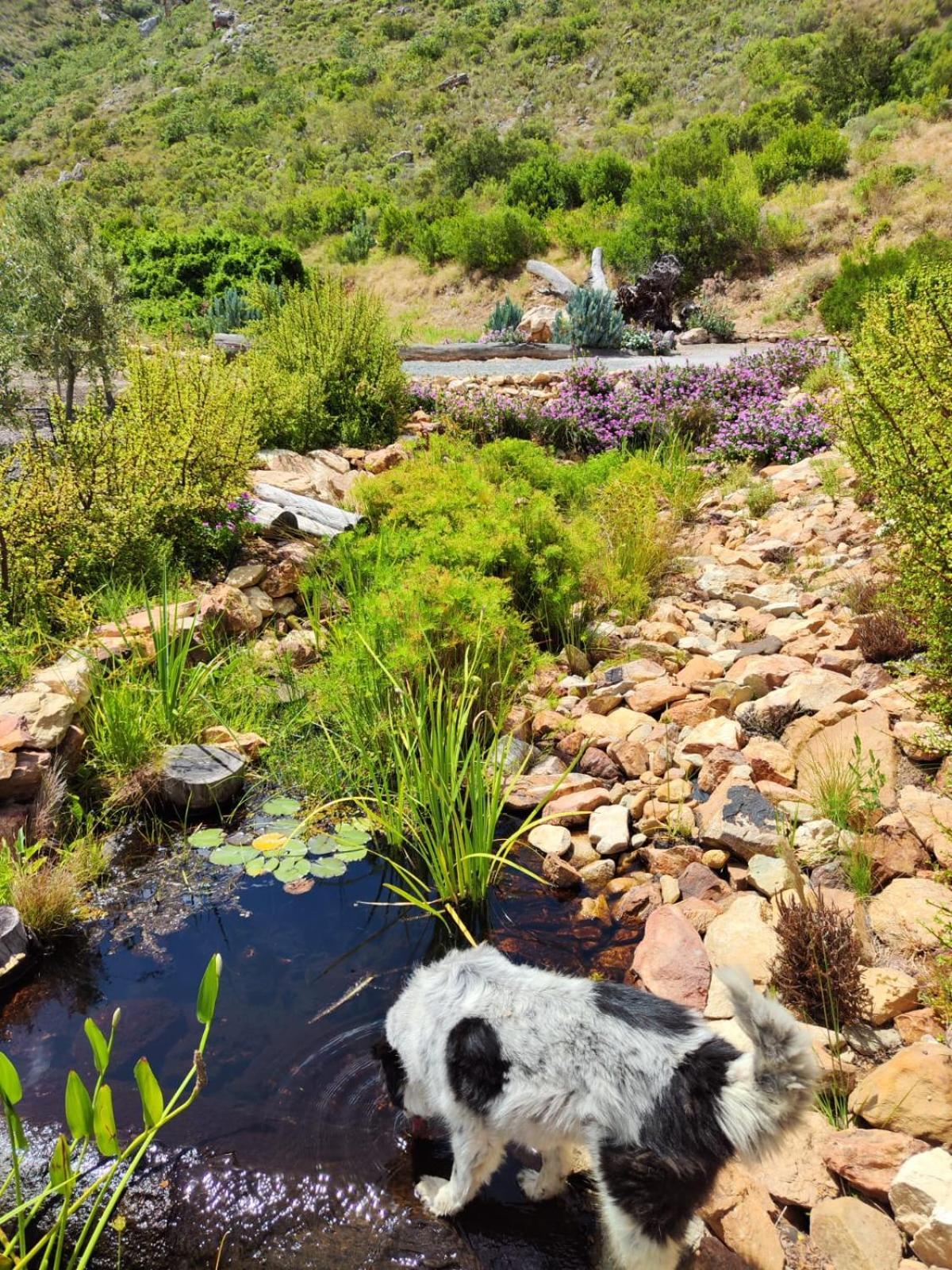 Roodekloof Appartement Montagu Buitenkant foto