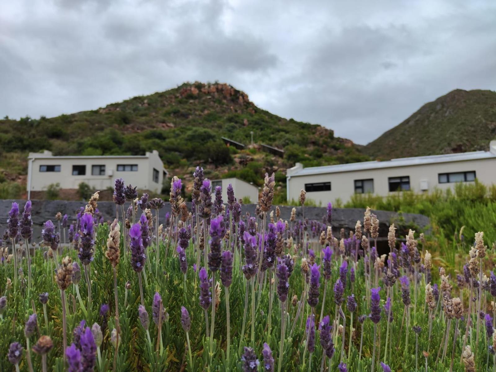 Roodekloof Appartement Montagu Buitenkant foto