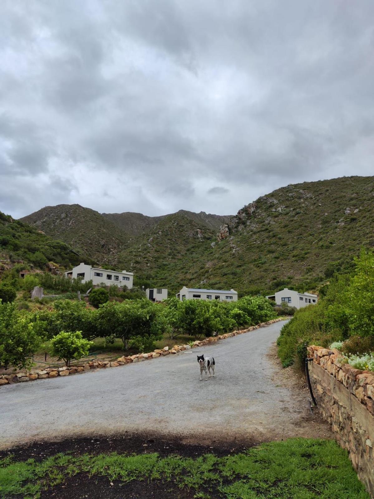 Roodekloof Appartement Montagu Buitenkant foto
